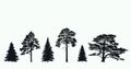 Set of realistic silhouettes of coniferous trees Royalty Free Stock Photo