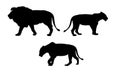 Set realistic silhouettes of one lion and two lionesses, animals in the wild, isolated on white background, vector Royalty Free Stock Photo