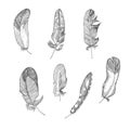 Set Realistic sketch of bird Feather on isolated background. Detailed ink Line pen Clip Art, Black and White Boho Royalty Free Stock Photo