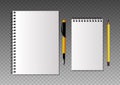 Set of realistic template notebooks.