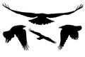 Set of realistic vector silhouettes of flying birds Royalty Free Stock Photo