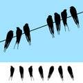 Set of realistic vector silhouettes of sitting swallows