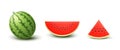 Set of Realistic Watermelons