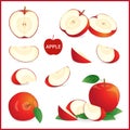 Set of red apple in pieces, whole, slice and half in vector form