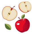 Set of red apple and slices. Isolated vector sliced fruit in flat style. Summer clipart for design Royalty Free Stock Photo