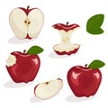 Set of red apples with green leaves on a white background. Sliced apple. Vector illustration Royalty Free Stock Photo