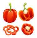 Set of red bell pepper whole, half and cut slice illustration Royalty Free Stock Photo