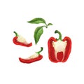 Set of red bell peppers with leaves. paprika. halves and pieces of peppers with seeds, pepper in a cut.