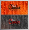 Set of Red and Black Caviar banners. Delicious seafood backgrounds. Caviar vector illustration. Natural and healthy