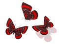 set of red butterflies isolated on a white background. flock of colored moths. three tropical insects