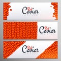 Set of Red Caviar banners. Delicious seafood backgrounds. Caviar vector illustration. Natural and healthy luxury food