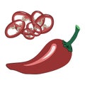 Set of red chili peppers - sliced into rings and a whole pod. Spicy seasoning for ramen noodles soup. Vector Royalty Free Stock Photo