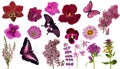 Set of red color butterflies and flowers Royalty Free Stock Photo