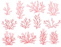 Set of red coral seaweeds silhouettes flat vector illustration isolated on white background