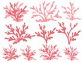 Set of red coral seaweeds silhouettes flat vector illustration isolated on white background