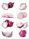 Set of red cut and whole onion on background