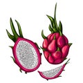 Set of red dragon fruit isolated on white background. Whole, half and slice Royalty Free Stock Photo