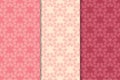 Set of red floral ornaments. Cherry pink vertical seamless patterns Royalty Free Stock Photo