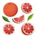 Set of red grapefruit and slices. Isolated vector sliced fruit in flat style. Clipart for design Royalty Free Stock Photo