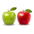 Set of red and green apple fruits Royalty Free Stock Photo