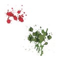 Set of red and green colors watercolor splash blot.