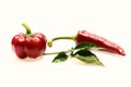 Set of red hot chili peppers, closeup. Mexican spicy peppers Royalty Free Stock Photo
