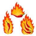 Set of red hot chili peppers with flames Royalty Free Stock Photo