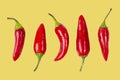 Set of red hot chili peppers on yellow isolated, closeup Royalty Free Stock Photo