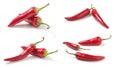 Set of Red hot chilli peppers isolated Royalty Free Stock Photo