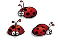 Set of red ladybug isolated on white. illustration Royalty Free Stock Photo