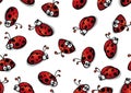 Set of red ladybug isolated on white. illustration Royalty Free Stock Photo