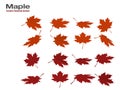 Set of red maple leaves on transparent background Royalty Free Stock Photo