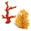 Set of red and orange corals isolated on a white background. Vector illustration. Royalty Free Stock Photo