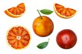 Set of red orange fruit with green leaves isolated on white background Royalty Free Stock Photo