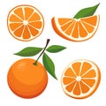 Set of red orange and slices. Isolated vector sliced fruit in flat style. Summer clipart for design Royalty Free Stock Photo