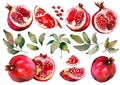 Set of red pomegranate fruits and green leaves. Royalty Free Stock Photo