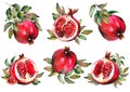 Set of red pomegranate fruits with green leaves. Royalty Free Stock Photo