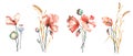 Set of red poppy bouquets. Watercolor wildflowers illustration.