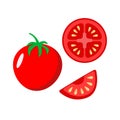 Set of red ripe tomatoes whole and tomato slices with seeds in the cut. Vector illustration of fresh vegetables on a white