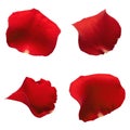 Set of red rose petals isolated on white background. Royalty Free Stock Photo