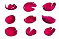 Set of red rose petals on a white background isolated Royalty Free Stock Photo