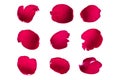 Set of red rose petals on a white background isolated Royalty Free Stock Photo