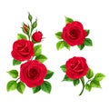 Set of red roses isolated on white. Vector illustration.