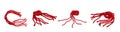 Set of Red string Kabbalah isolated on white background. Royalty Free Stock Photo