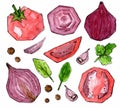 Set of red vegetables and spices stylized square. Tomato, basil and parsley leaves, onion, garlic. Watercolor sketch Royalty Free Stock Photo