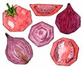 Set of red vegetables stylized square. Tomato and onion. Watercolor sketch hand drawn painted. Fresh food design elements isolated