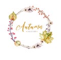 Set of red and yellow autumn watercolor leaves and berries, hand drawn design foliage elements decoration.