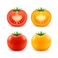 Set of Red Yellow Green Fresh Cut Whole Tomatoes