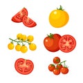 Set of red and yellow tomatoes. Royalty Free Stock Photo