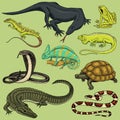 Set of reptiles and amphibians. Wild Crocodile, alligator and snakes, monitor lizard, chameleon and turtle. Pet and